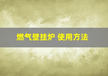 燃气壁挂炉 使用方法